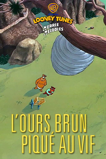 L'Ours brun piqué au vif
