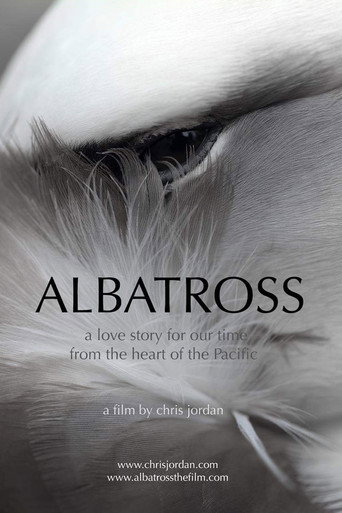 Albatross
