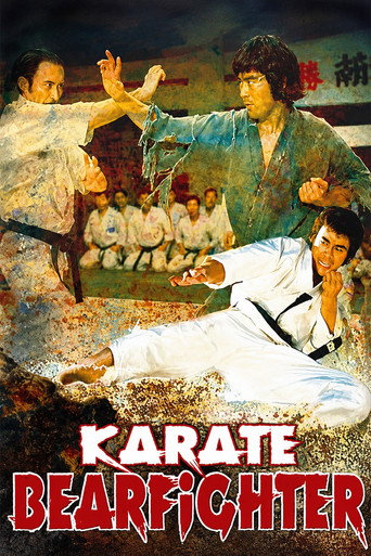Karate Bear Fighter