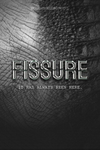 FISSURE