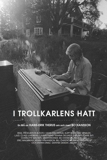 I Trollkarlens hatt