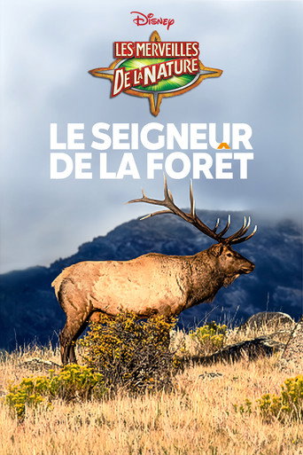 Le seigneur de la forêt