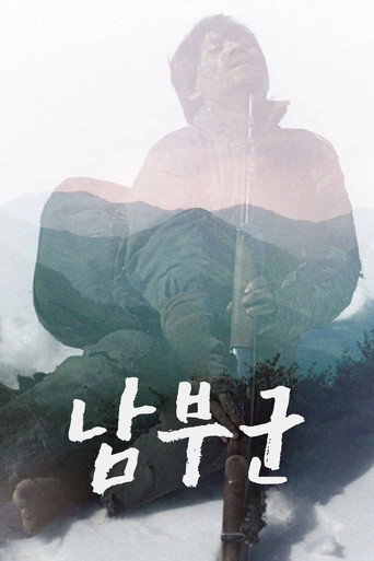 North Korean Partisan in South Korea
