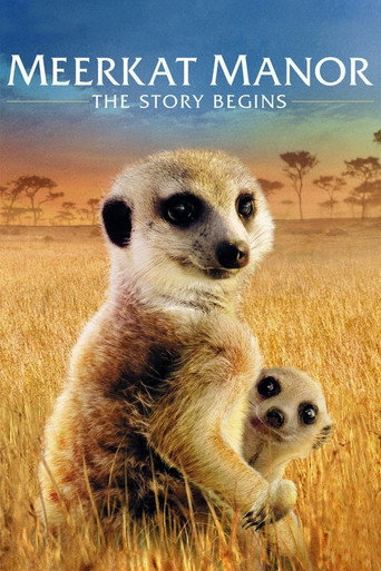 Le Clan des suricates - L'aventure commence