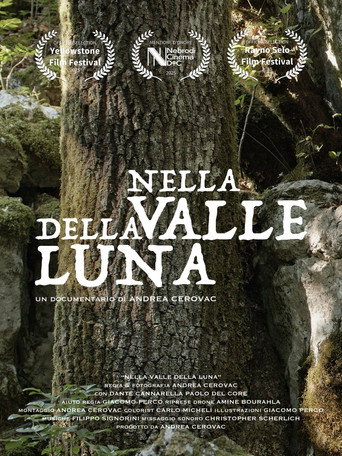 Nella Valle della Luna