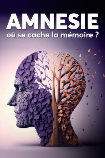 Amnésie : Où se cache la mémoire ?