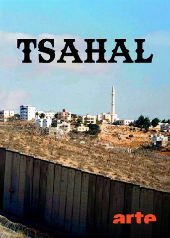 Tsahal, l’armée israélienne à l’épreuve