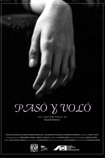 Pasó y voló