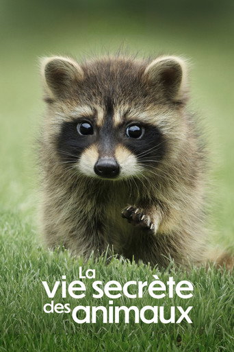 La Vie secrète des animaux