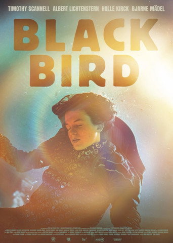 Blackbird
