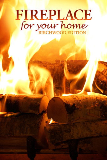 Fireplace for Your Home: Birchwood Edition