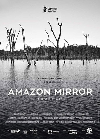 Amazon Mirror