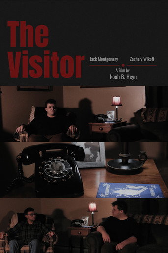 The Visitor