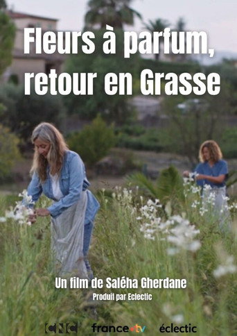 Fleurs à parfum, retour en Grasse