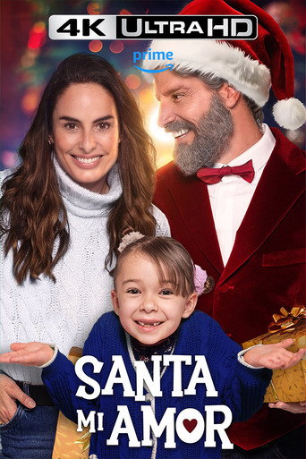 Beau-père Noël