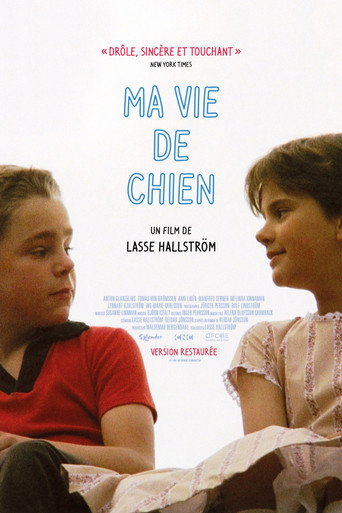 Ma vie de chien