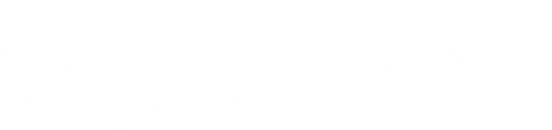 The Night Porter logo