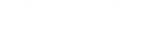 Destroyed In Seconds logo