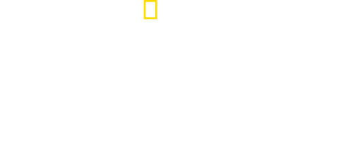 Dictateurs, mode d'emploi logo
