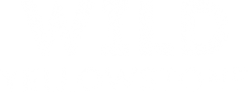 Wild Yellowstone logo