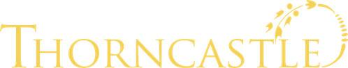 Tüskevár logo