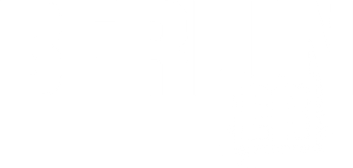 Berlin ER logo