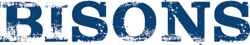 Bisons logo
