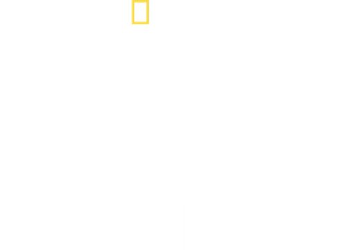 Orca Vs. Great White logo