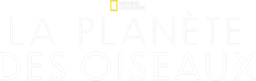 Planète des oiseaux logo