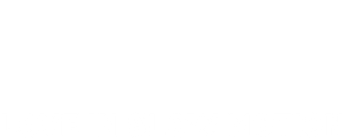 Love in Slow Motion logo