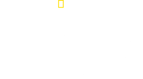 Deadly Instincts logo