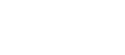 Bondi Rescue logo