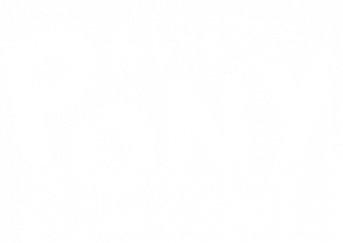 Annie & Pony logo