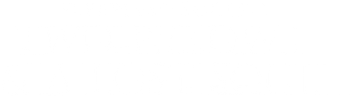 Sleepless Society Two Pillows & A Lost Soul (2019) logo
