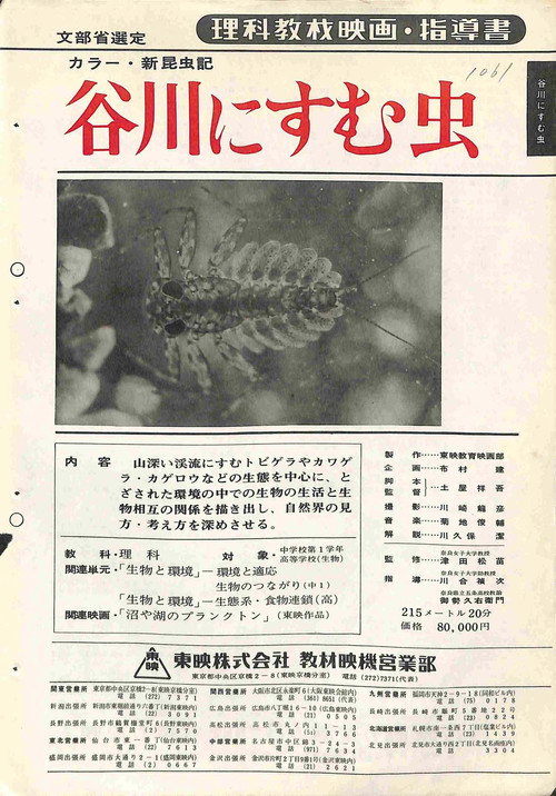 新昆虫記・谷川にすむ虫