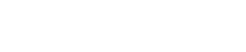 100 Rifles logo