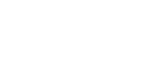 DMZ logo
