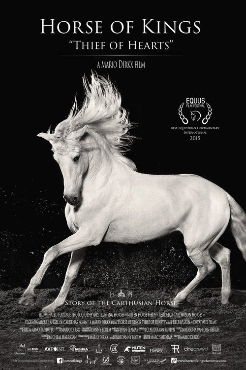 Le cheval andalou