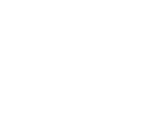 The Dry logo