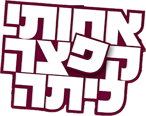אחותי קפצה כיתה logo