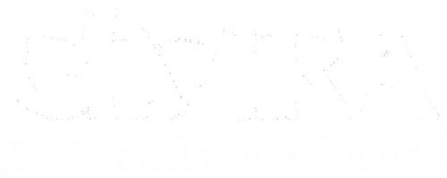 Elvira et le château hanté logo