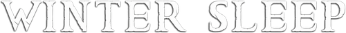 Winter Sleep logo