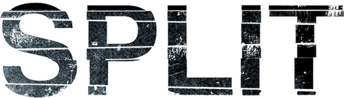 Split logo