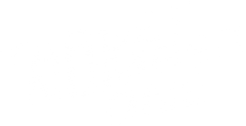 Target Number One logo