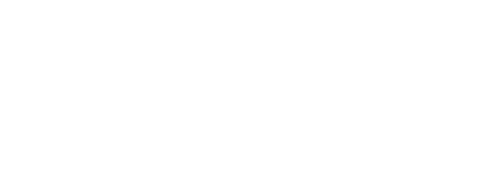 A Honeymoon to Remember logo
