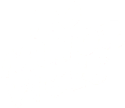 No Minor Vices logo