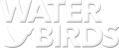 Water Birds logo