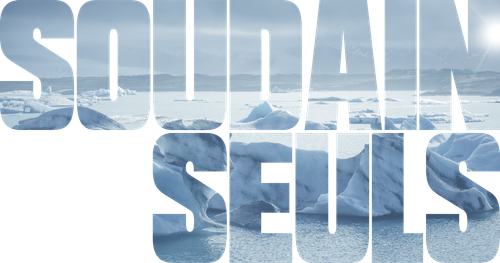 Soudain seuls logo