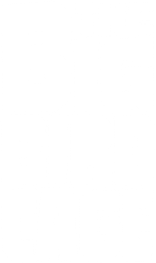 The Big Bird Cage logo