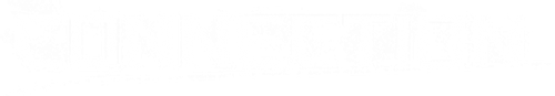 Connection logo